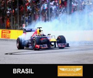 пазл Себастьян Феттель празднует свою победу в Гран Гран-при Бразилии 2013
